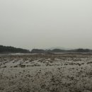봉애농장 Daum카페