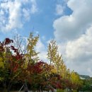 성균관대학교(교수회관) 이미지