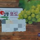 감골농장 이미지
