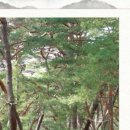 순지작은도서관 이미지