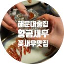황금대박 | 해운대꽃새우 실물 대박 살아있는 비주얼 끝판왕 ㅣ황금새우 솔직후기