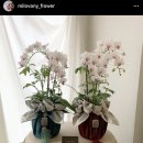 방배천로 120-5 이미지