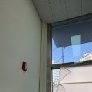 탑영어교습소 이미지