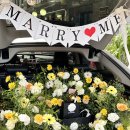 꽃프로포즈PROPOSE 이미지