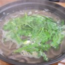손맛칼국수 - 영천시 강남길 42-1 | 손맛칼국수
