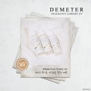 향기와 함께하는 몸과 마음 힐링 여행 이미지