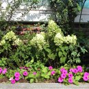 물망초경로당 이미지