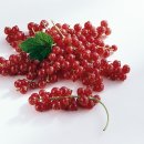 유픽(U-PICK) 이미지