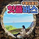하슬라투어 네이버블로그