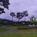 태광CC 골프 회원권 가격과 그린피
