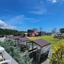 스테이 담다 이미지