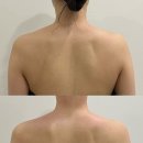 메스티(MESTY) 네이버블로그