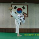 영운태권도 이미지