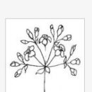 영원초등학교 이미지