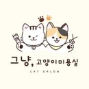 고양이 미용실 그냥 이미지