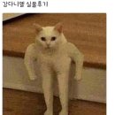 아니 - 강남구 삼성로145길 11-6 | 아니