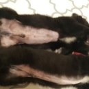 깍고밀고이발 이미지