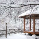 장*석 - 안양시 만안구 양화로147번길 | 장*석