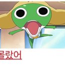 한촌설렁탕성수뚝도점 | 나홀로 성수 가나디 팝업 | 현장예약