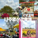 전라남도 전라남도 나주시청 종합민원실 앞 | [공지] 나주 영산강축제 가수 먹거리 들섬 코스모스 위치 주차 완벽정리