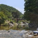 부연계곡그집펜션 이미지