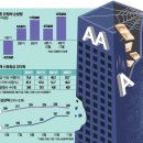 11월26일 🍁뉴스브리핑🍁 이미지