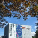 서구 어린이집·유치원 대상 「숲속음악소풍」 | 올림픽공원 소마미술관 수요일 문화의날(무료), 달밤여행 전시와 함께 가을 단풍