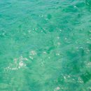 사람냄새 이미지