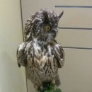 괴산농업역사박물관 이미지