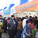 수억인삼