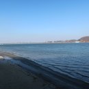 궁산축산 티스토리