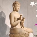 🪷부산 목턱소리 정기법회동영상 이미지