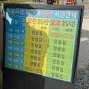 여수장 | 여수 가볼만한곳 장도 산책,카페, 전시회 정보