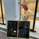 콩이와쌀자루 이미지