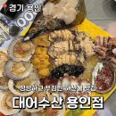 대어회수산 | 용인 기흥 보라동 한국민속촌 맛집 싱싱한 해산물 회 대어수산 내돈내산 후기
