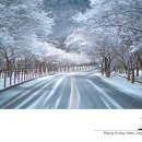tyre tracks 이미지