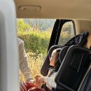 에어브이 | 토들러 카시트 고민 끝! 다이치 브이가드 토들러 시즌3 에어 솔직 후기