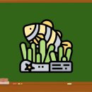 무상엠에스마트 이미지