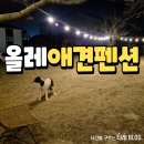 세븐일레븐 포항해도원룸점 | 포항 애견동반펜션 올레애견펜션 재방문 후기