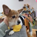 한양동물병원 이미지