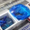 통영수산식품연구소 - 207272 | 통영수산식품연구소