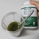 모닝플러스 | 하루 한 스푼 해독주스 루틴 설퍼플러스 법제유황공심채 후기