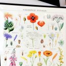 파파스튜 천진해변점 이미지