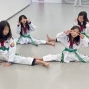 눈부시게 빛나는 태권도장 이미지