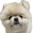 본격 먹로그 ...