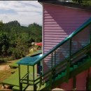 월드애견 이미지