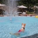 puppy lounge 이미지