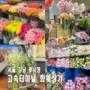 서울 고터 꽃시장 가격 영업시간 고속터미널 카네이션 은방울꽃