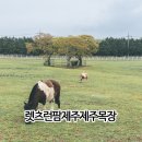 경하목장 이미지