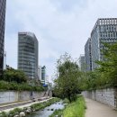 광장시장 찹쌀꽈배기 주말 웨이팅과 솔직후기